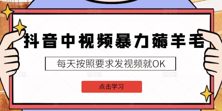 2022抖音中视频暴力薅羊毛白嫖项目：新号每天20块，老号几天几百块，可多号